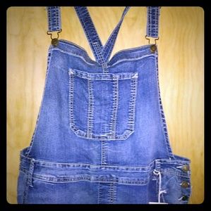 Wallflower Bib Denim Overalls 3X